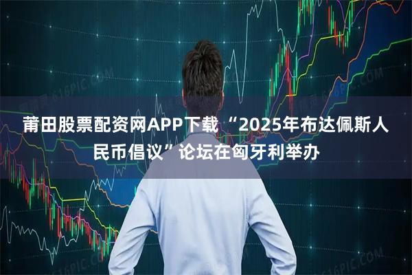 莆田股票配资网APP下载 “2025年布达佩斯人民币倡议”论坛在匈牙利举办